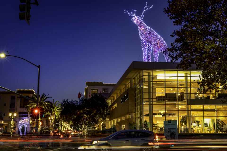 Commercial Christmas Decor Attraction