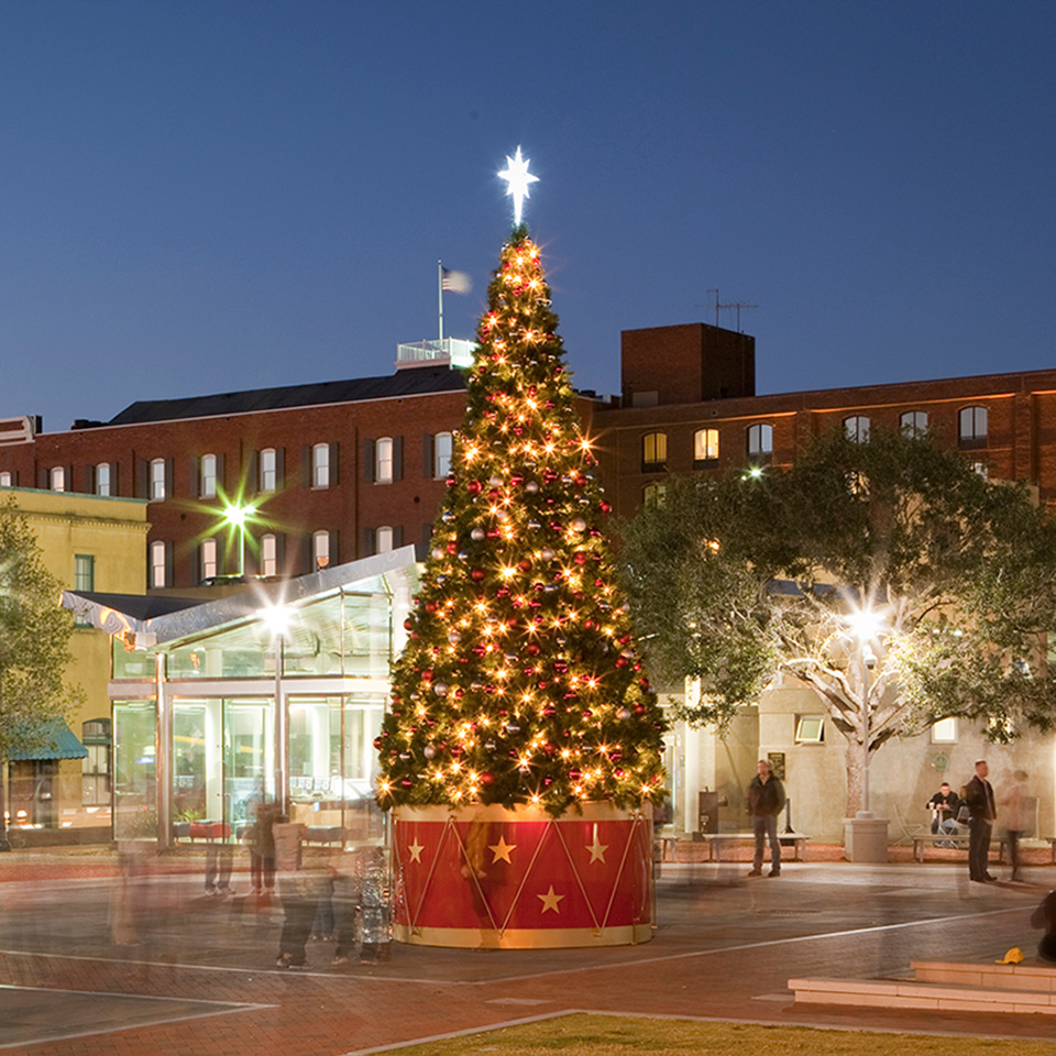 Large Outdoor Christmas Tree on Base in City Center of Georgia